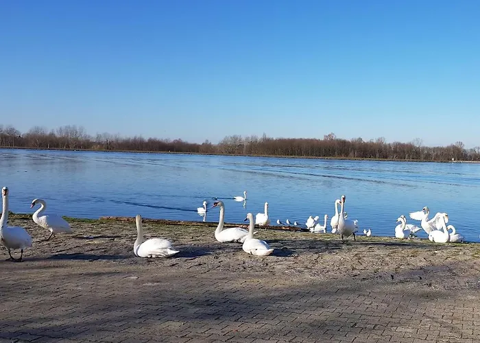 Διαμέρισμα Casa Joda Hügelsheim